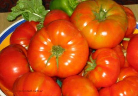 20060829114320-tomates-y-tomates-600.jpg