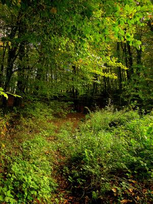 20070130170455-344029491-b7ae3f6b37.jpg